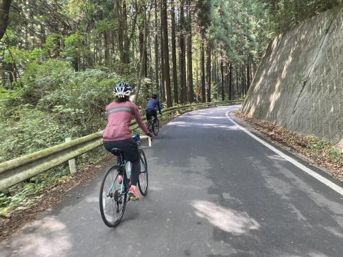 藤坂峠をロードバイクでのぼる男女の写真