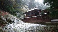 雪の写真