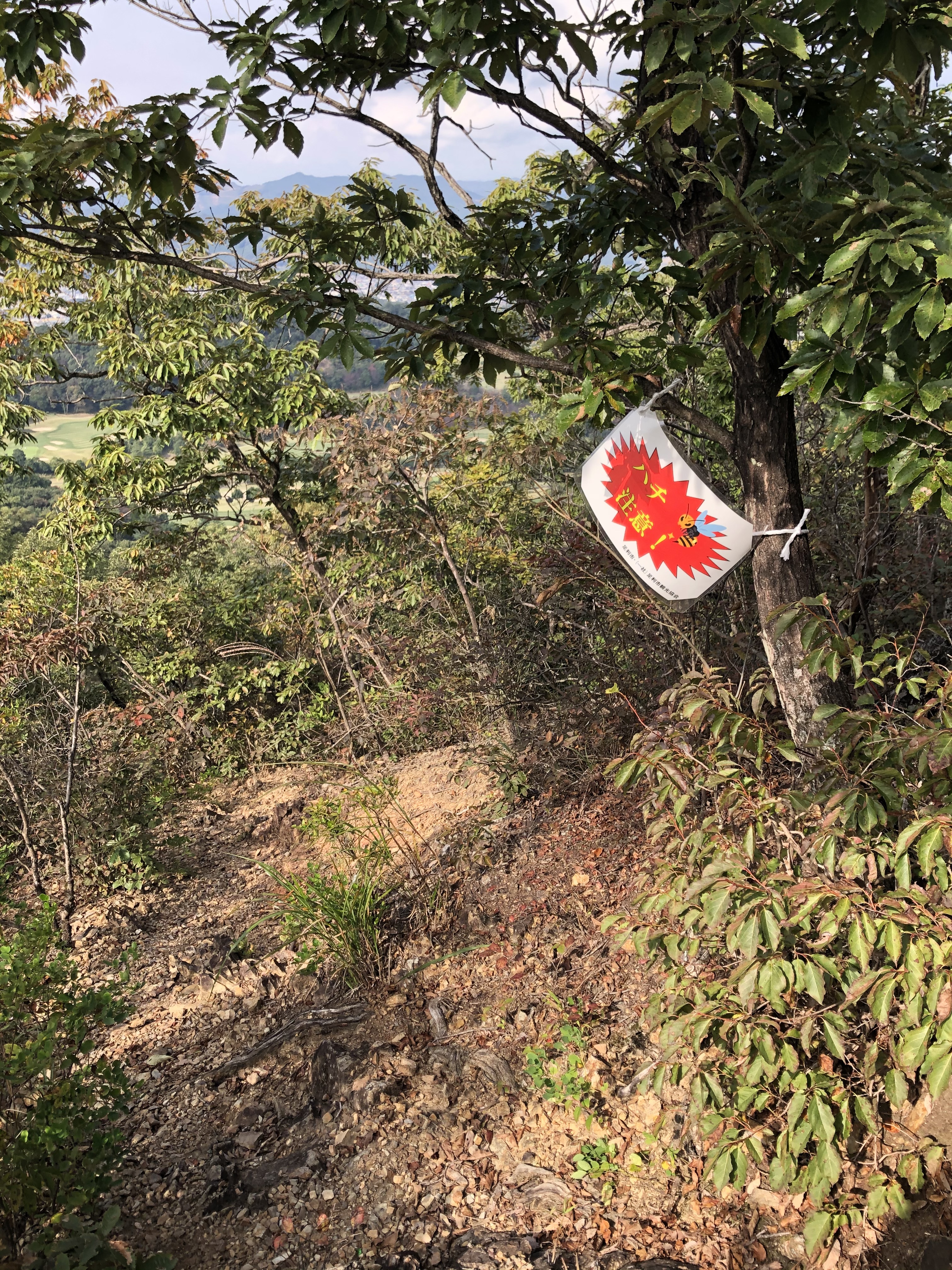 スズメバチ注意看板（大小山分岐下）の写真