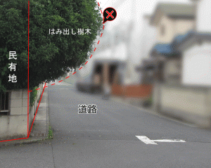 違反物件4はみ出し樹木の写真 違反物件4はみ出し樹木の写真