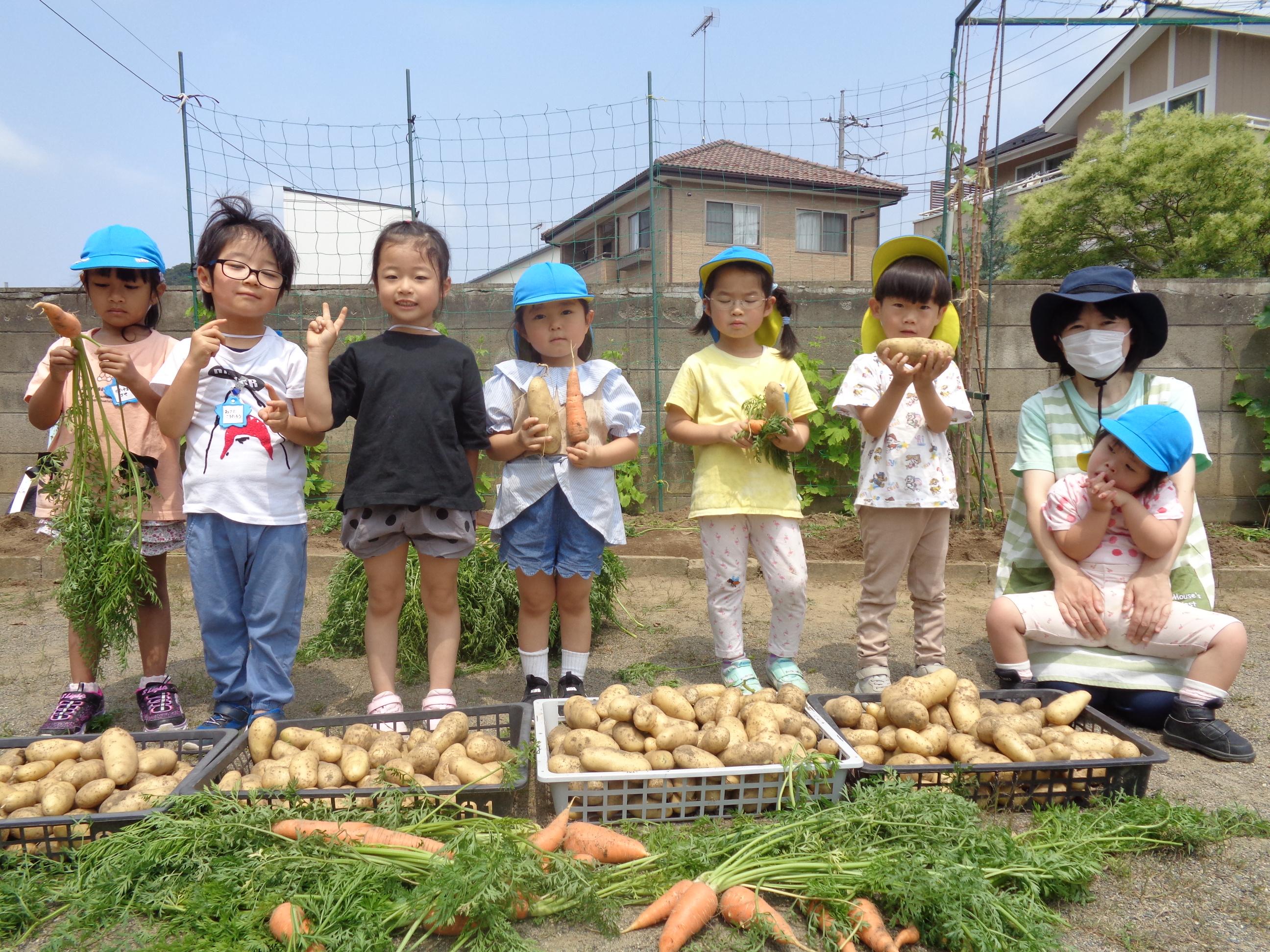 ブルーじゃがいも掘り