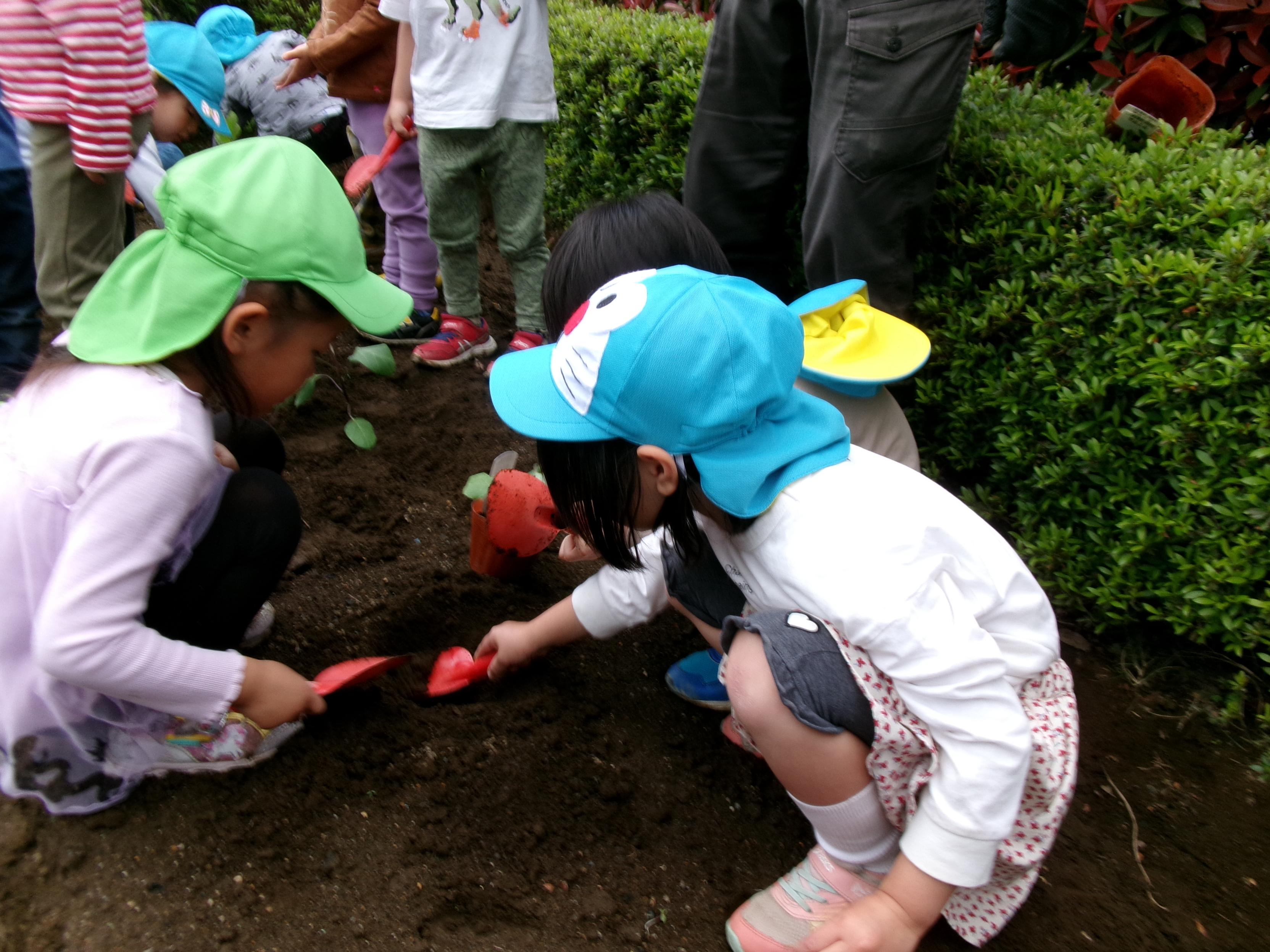 子どもが野菜の苗を植えているところ