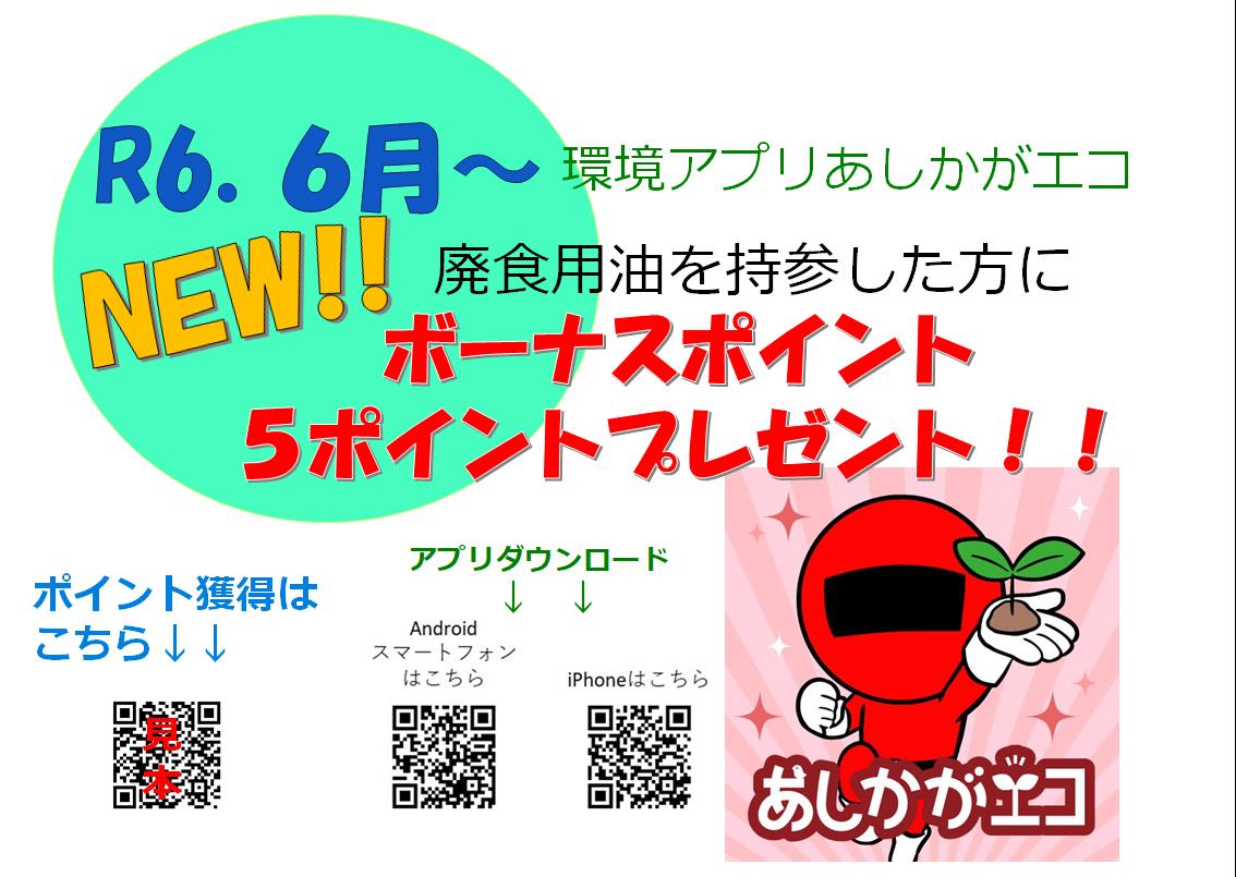アプリボーナスポイント (二次元見本)