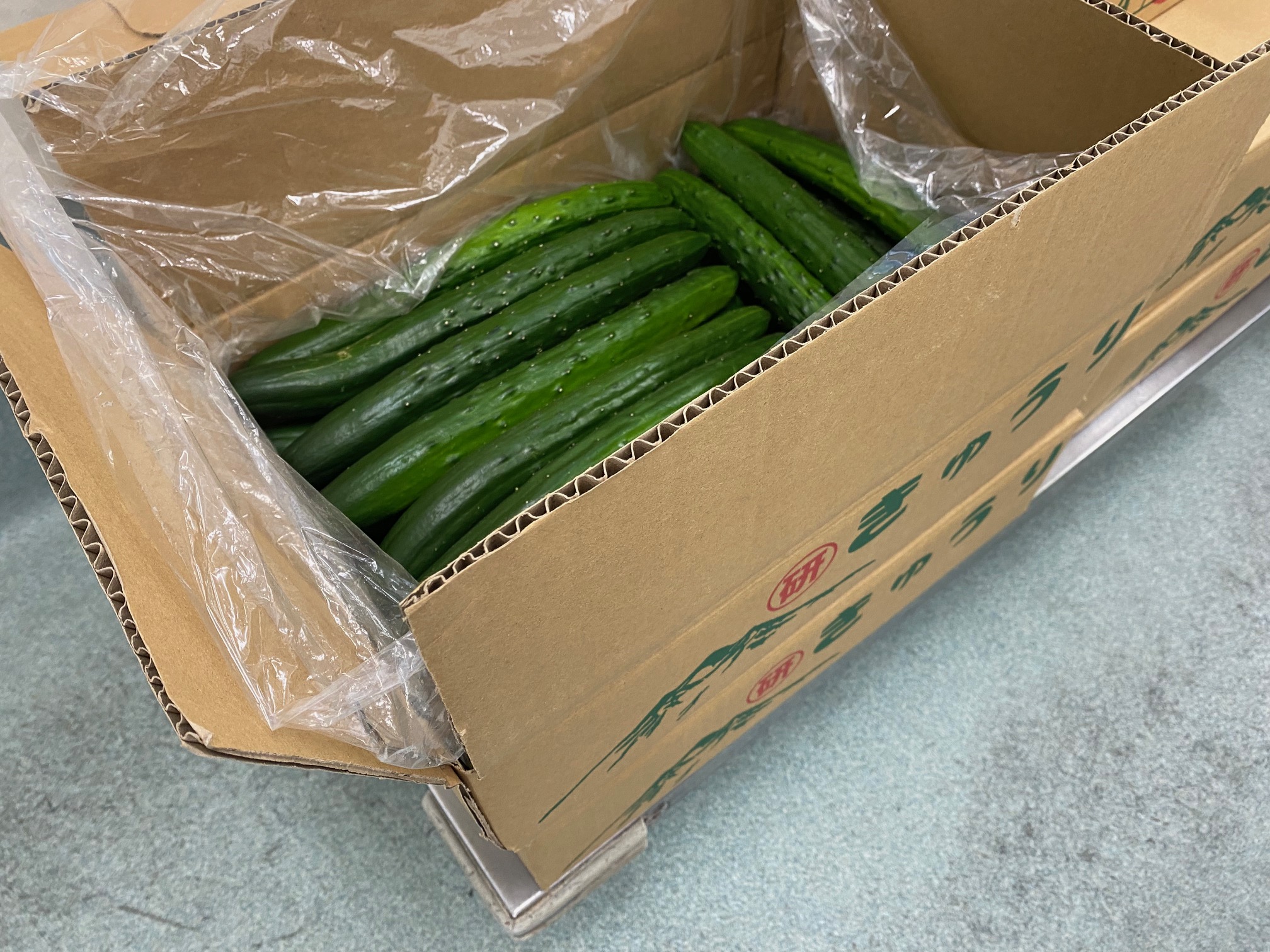image5