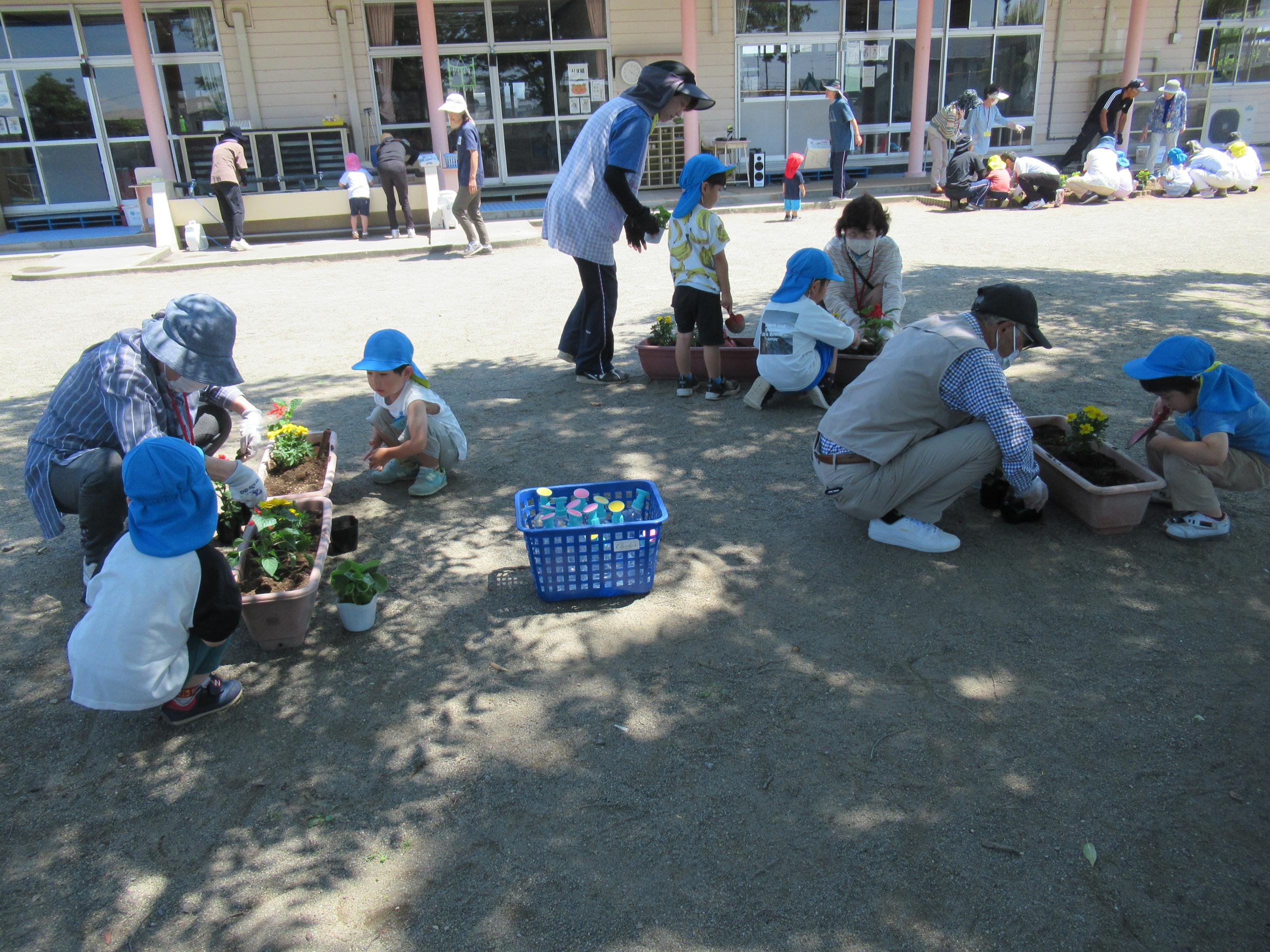 花植え