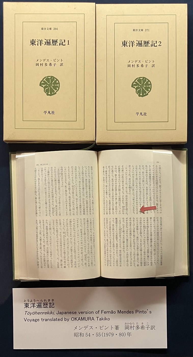 東洋遍歴記