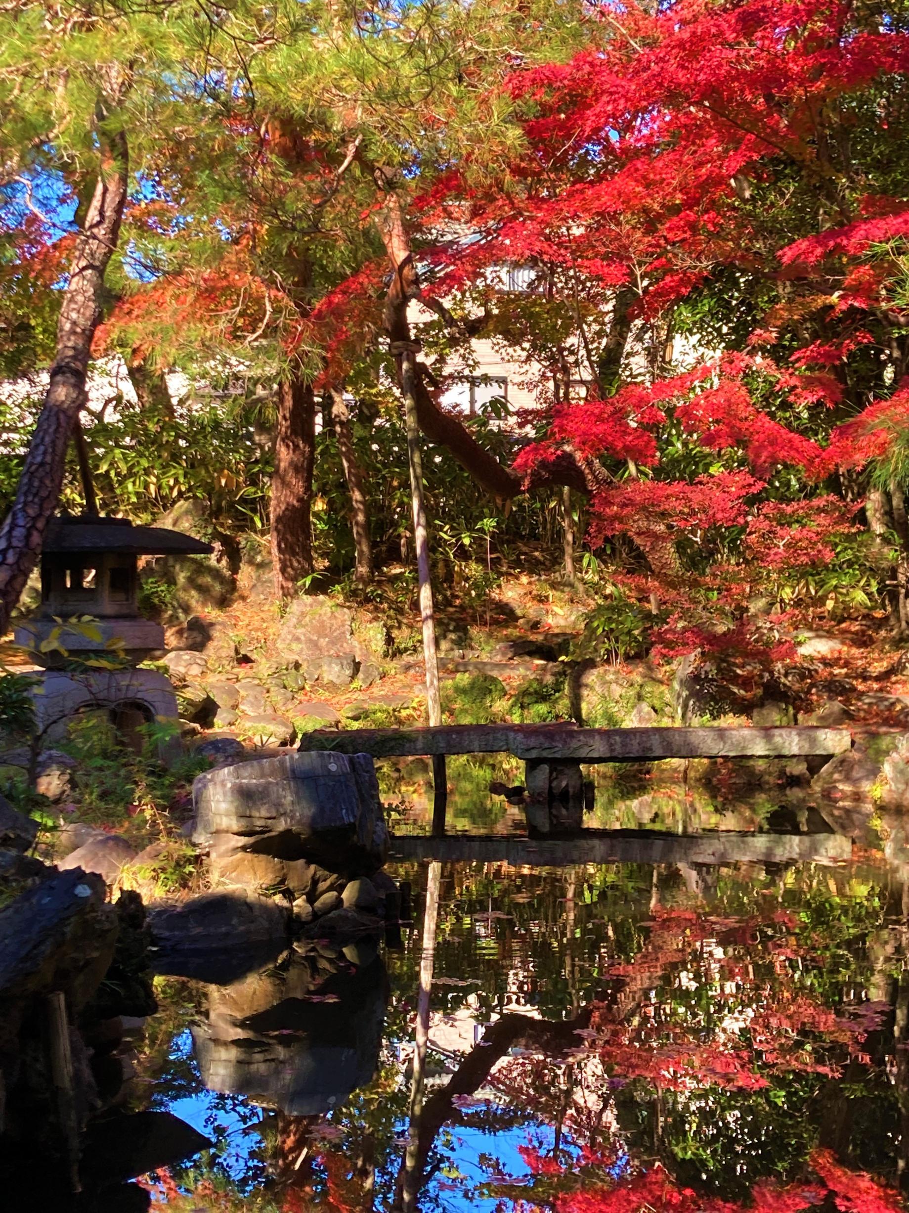 物外軒庭園の秋（水かがみ）