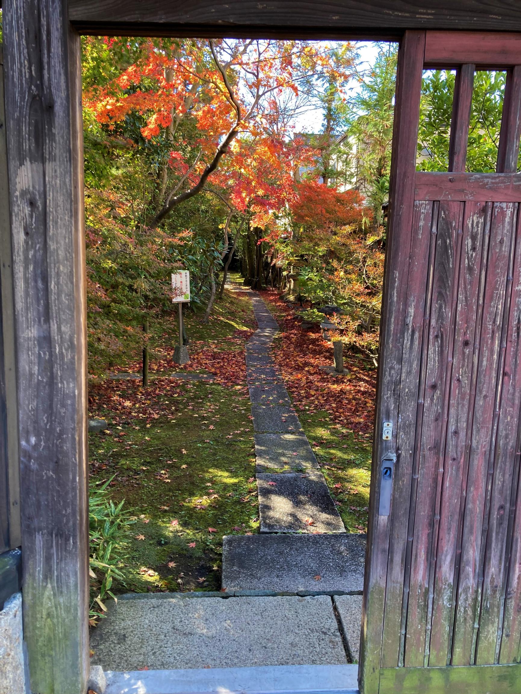 物外軒庭園の秋（北門）