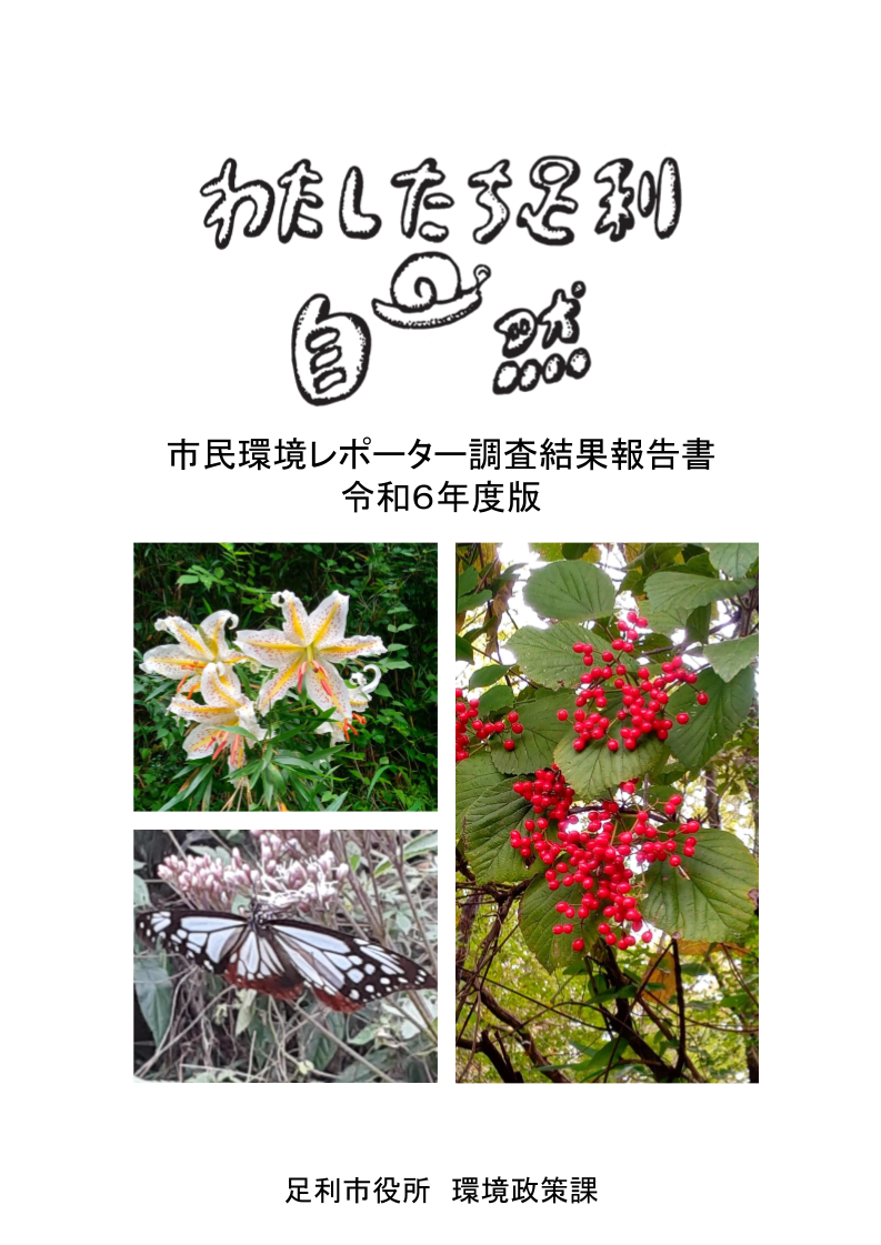 00-00_表紙（厚紙）