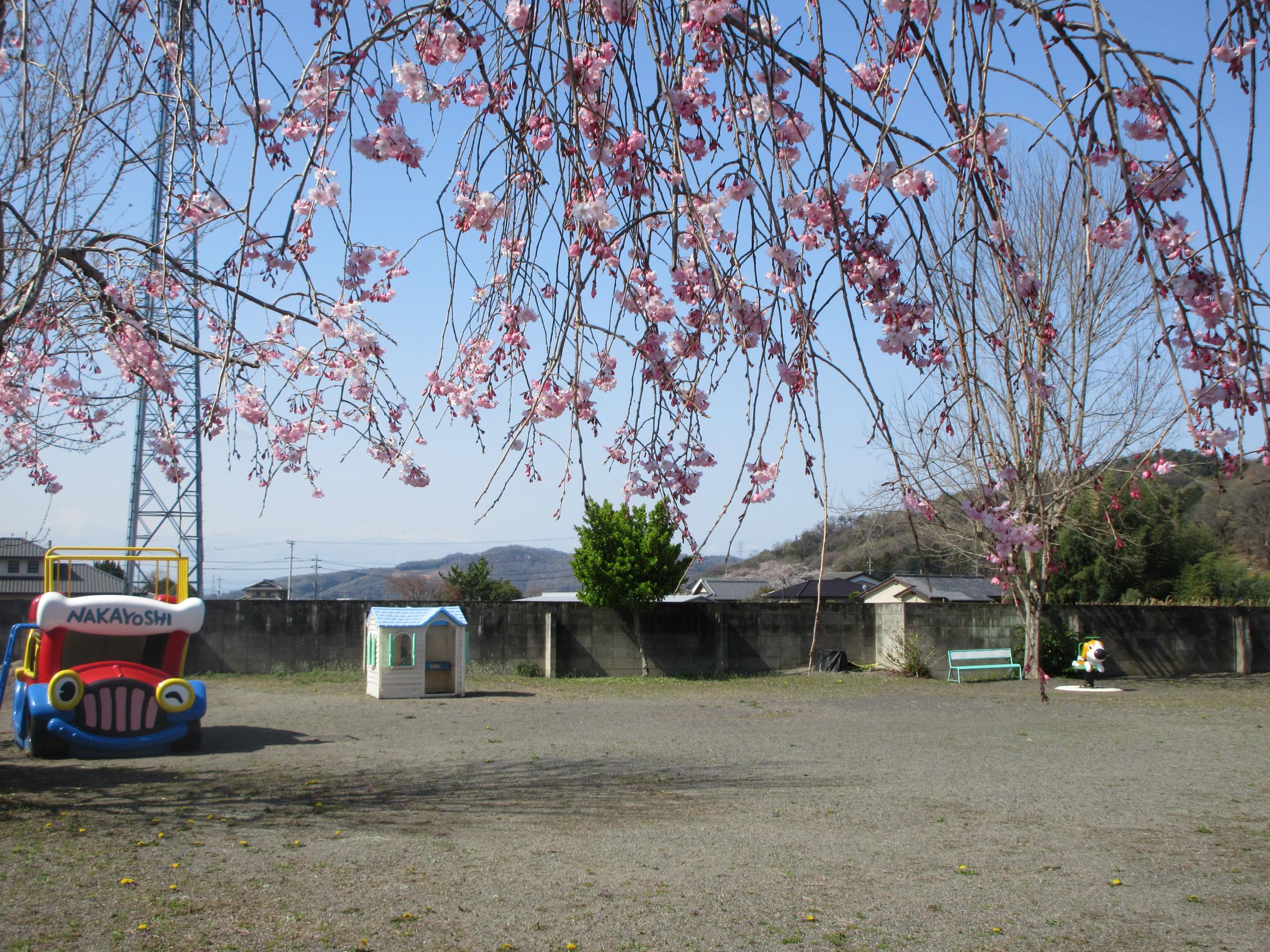 庭の遊具