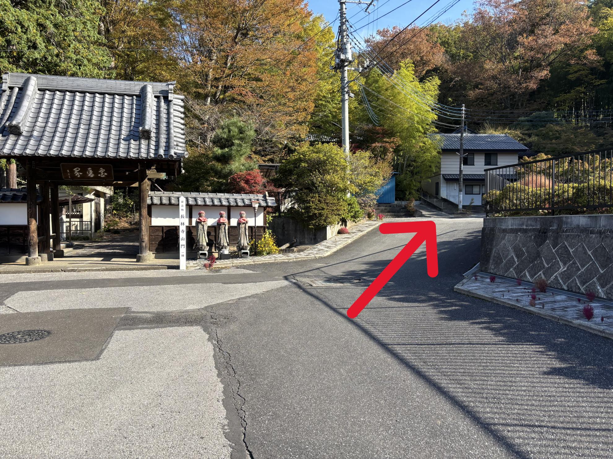 Image_20251120_165930_002