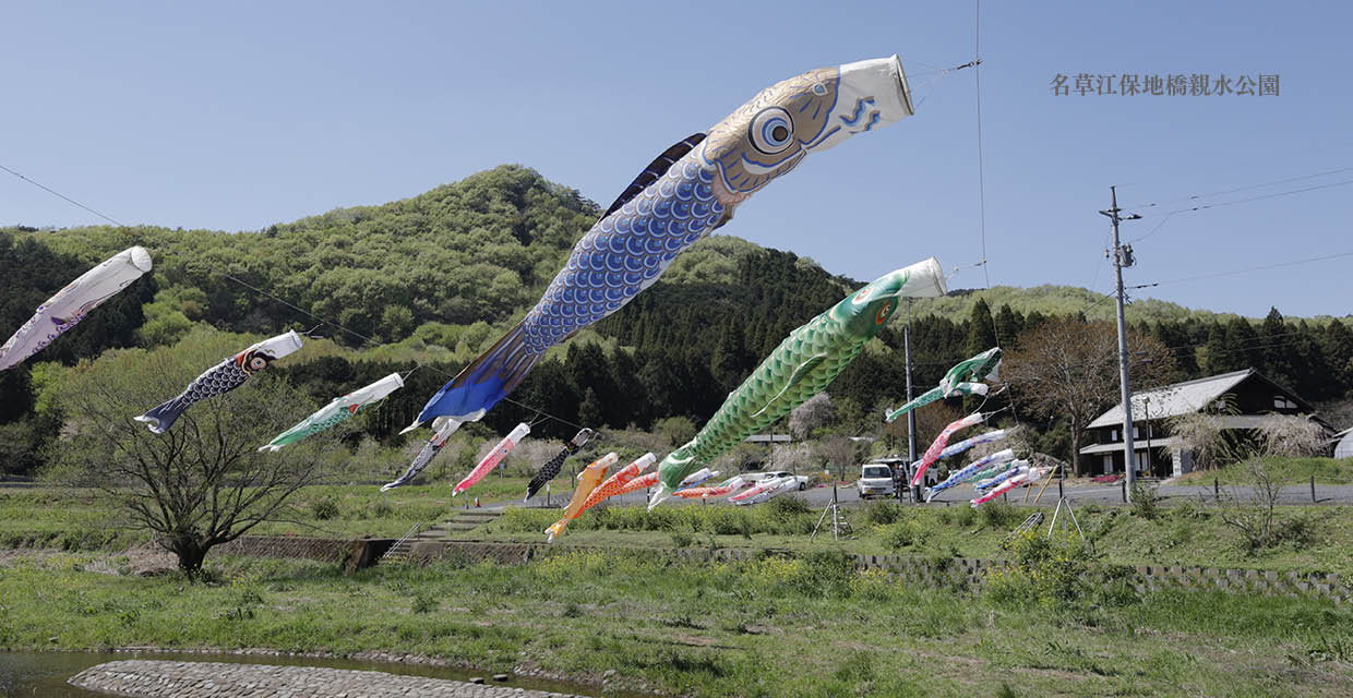 鯉のぼり（名草江保地橋親水公園）